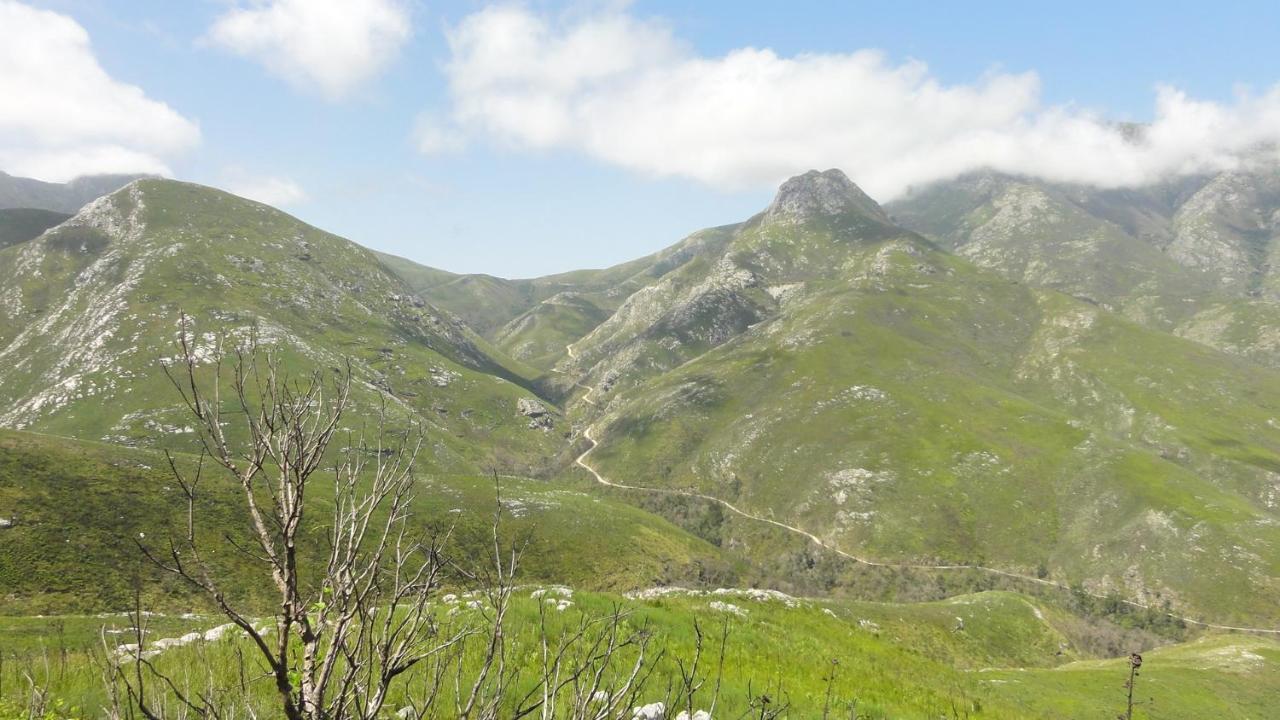 Kooboo Berry Ocean View, Self Catering Guesthouse Wildernis Dış mekan fotoğraf